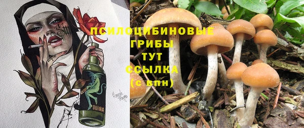 СК Абдулино