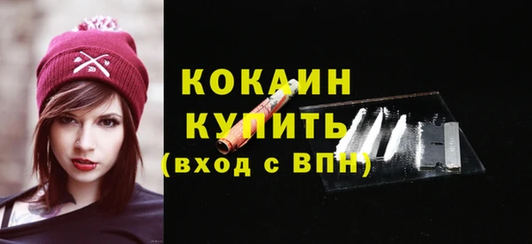 PSILOCYBIN Рославль