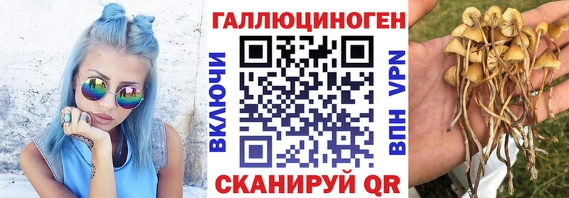 Псилоцибиновые грибы ЛСД  Починок 