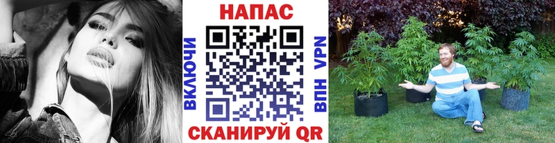 Каннабис OG Kush мега ссылка Починок